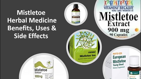 Mistletoe Herbal Medicine Benefits, Uses & Side Effects