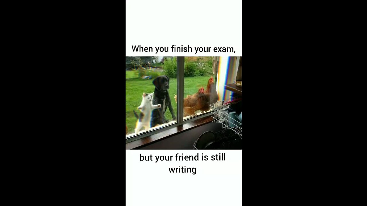 when your friends finished thier exam