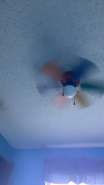 Cartoon catchphrases