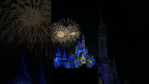 #magickingdom #fireworks #shorts #timelapse