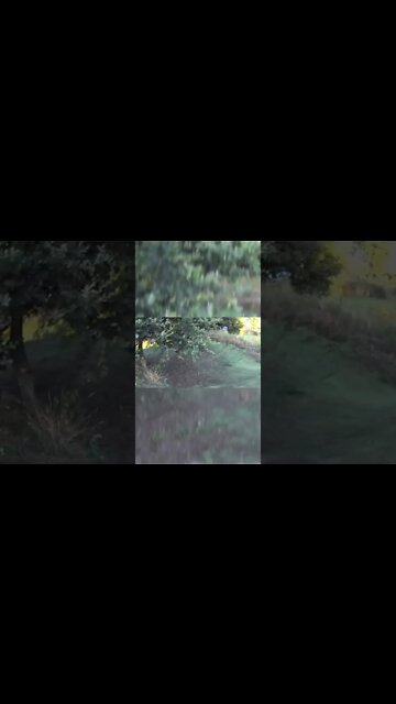 Traxxas Sledge killing it