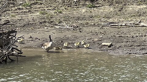 Happy family enjoy the spring sunshine