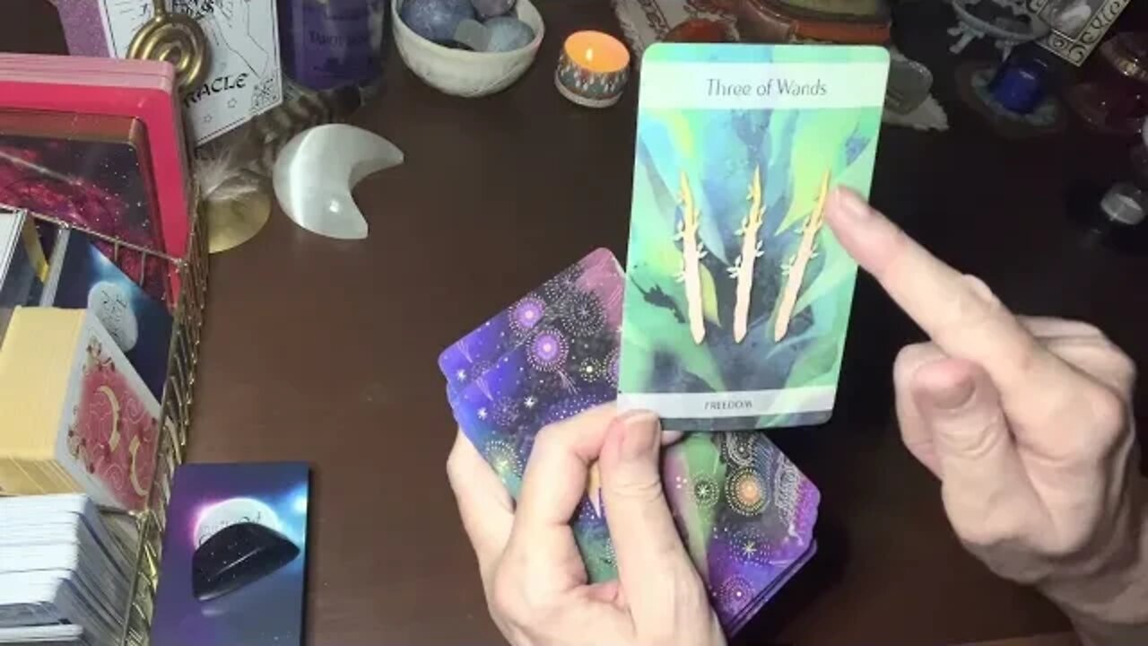 Spirit Speaks ~ MESSAGES FROM YOUR PETS #1 ~ spirit guided timeless tarot