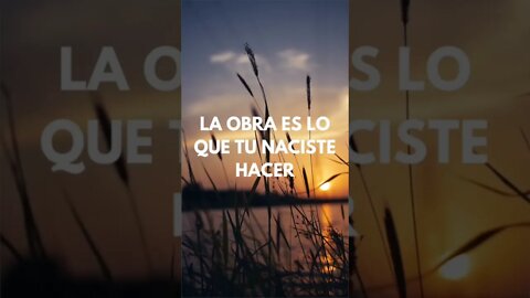 TRABAJO VS. OBRAS