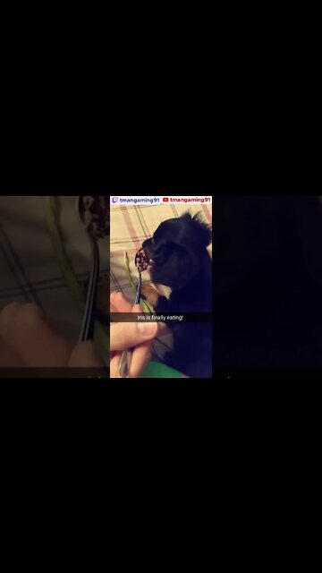 First Time Eating After Breaking Her Leg