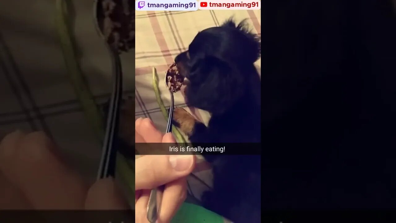 First Time Eating After Breaking Her Leg