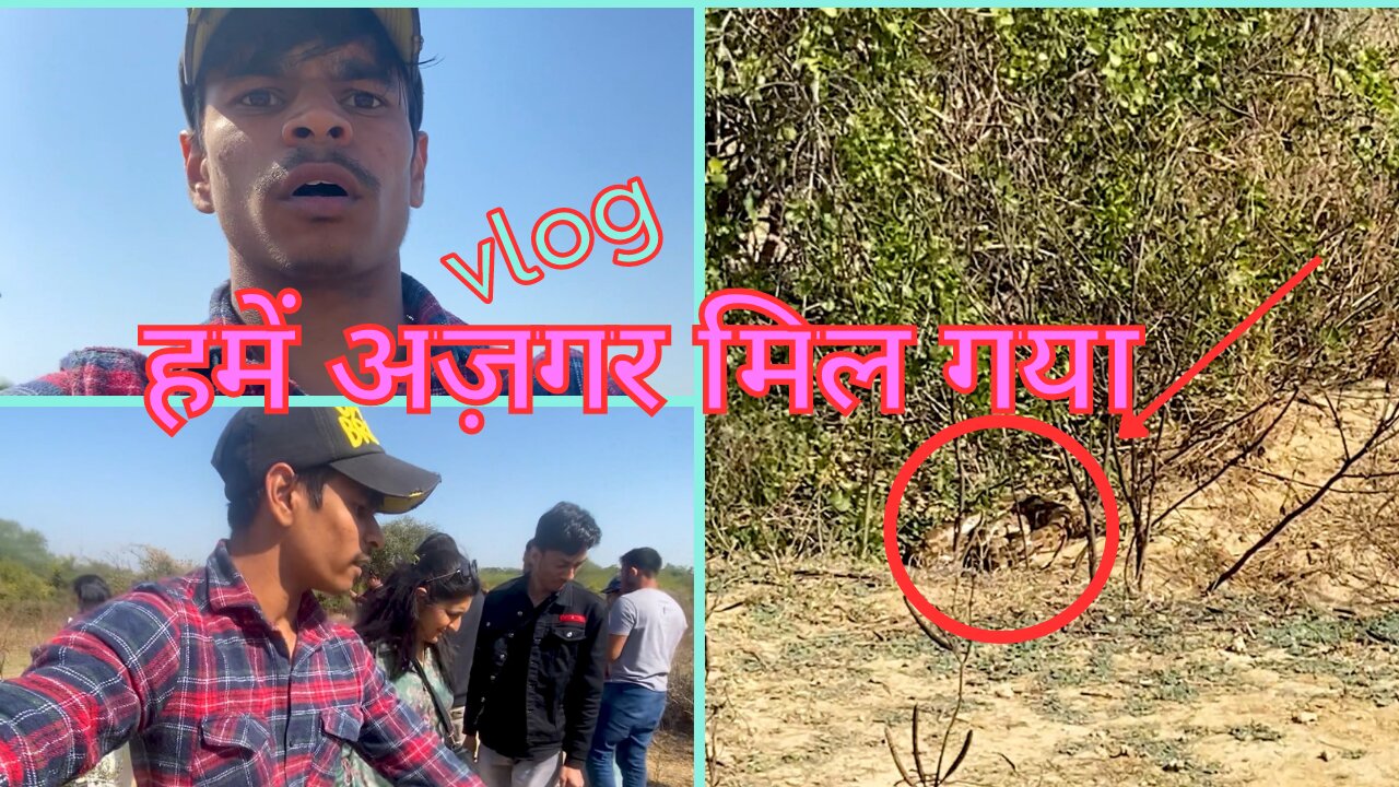 हमें अज़गर मिल गया 🐍🐍🐍 | Bharatpur Bird Sanctuary Final Episode | Explorer prashant