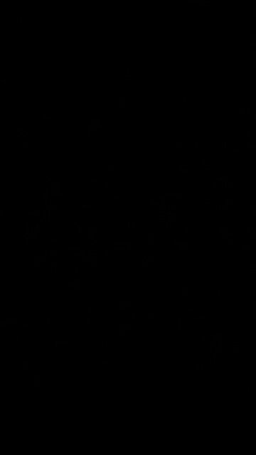 North arrow coffee company.