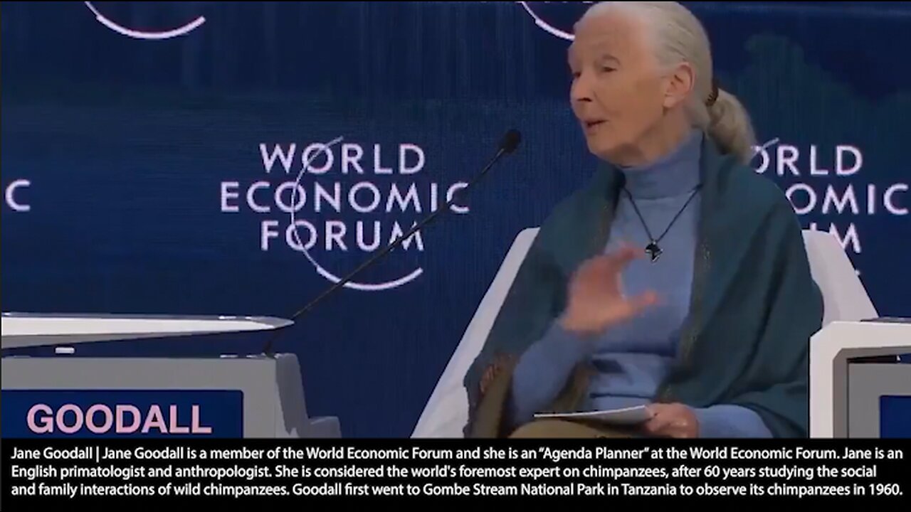 Jane Goodall | "All These Things We Talk About Wouldn't Be a Problem If There Was a Size of Population That There Was 500 Years Ago. "If I Just Had This Magic Power, I Would Like to Reduce the Number of People On the Planet." - Jane Go