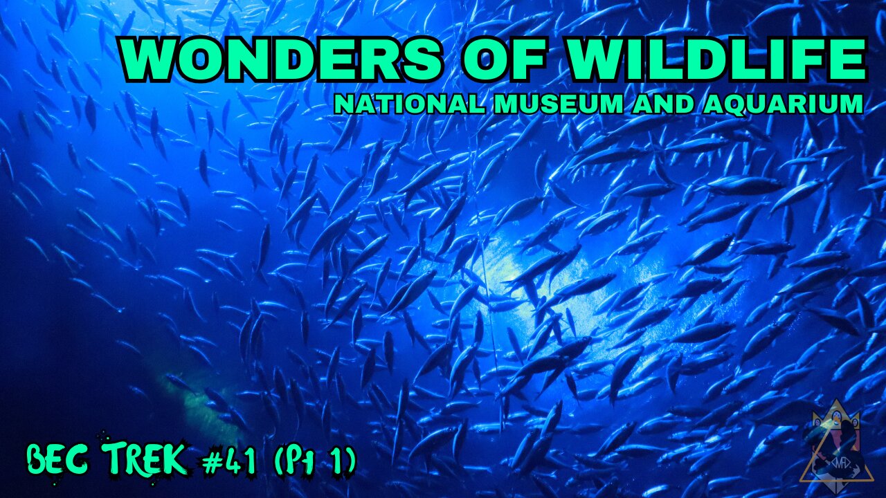 MORE THAN FISH | Wonders of Wildlife | BEC TREK Episode 41 (Pt1)