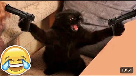 New funny animals 😂 Funniest Cats and Dogs videos.