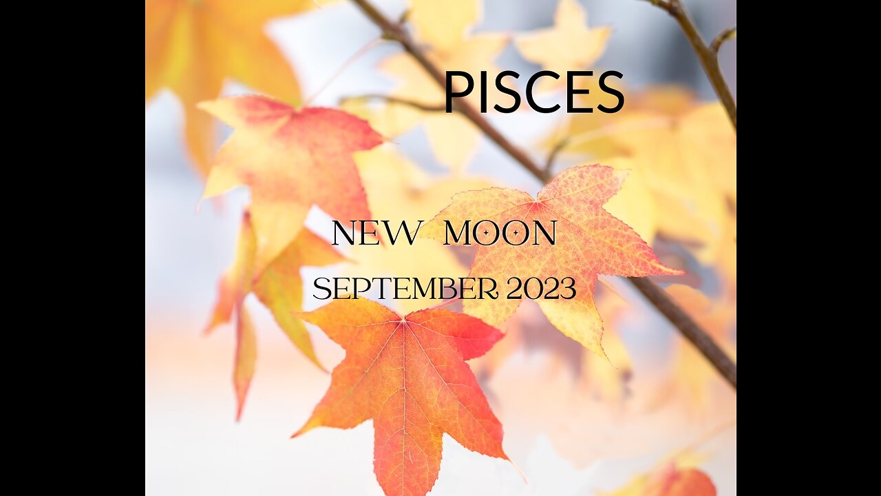 PISCES- "THIS IS NOT A ONE SIZE FITS ALL PACKAGE" SEPTEMBER 2023