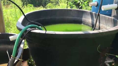 Where my slugs at? Finding hidden habity