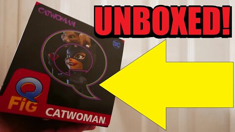 Q Figure Unboxed - Cat Woman