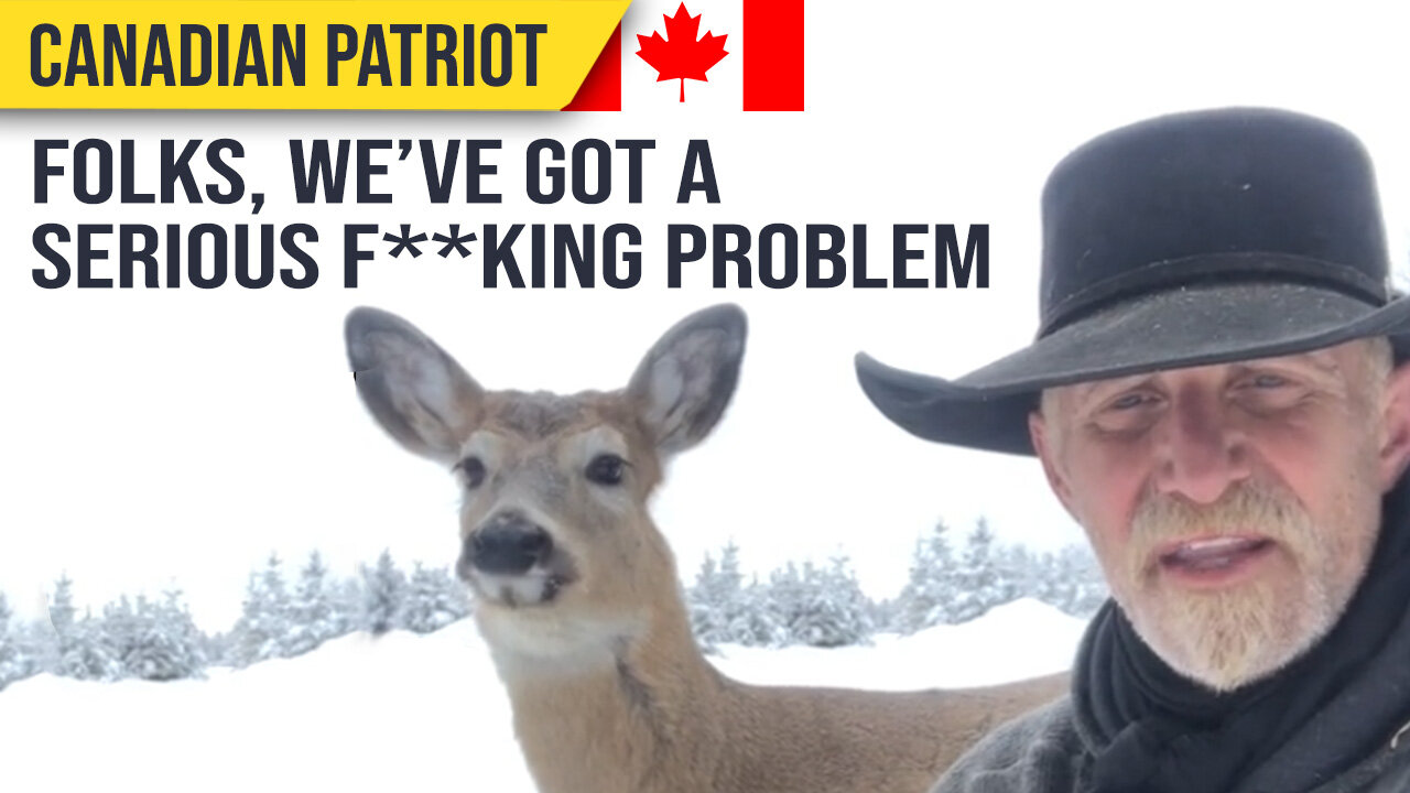 Canada, we have a serious f**king problem : @helpinghorsesheal