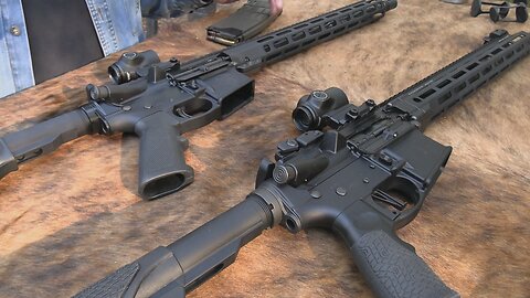 700-Dollar AR15 vs 2,000-Dollar AR15