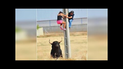 Funniest Fails Of The Year Compilation