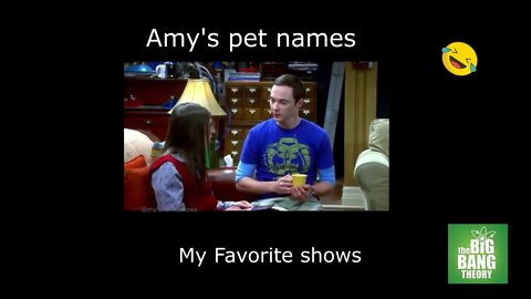 The Big Bang Theory- Amy's pet names #shorts #sitcom #youtubeshorts