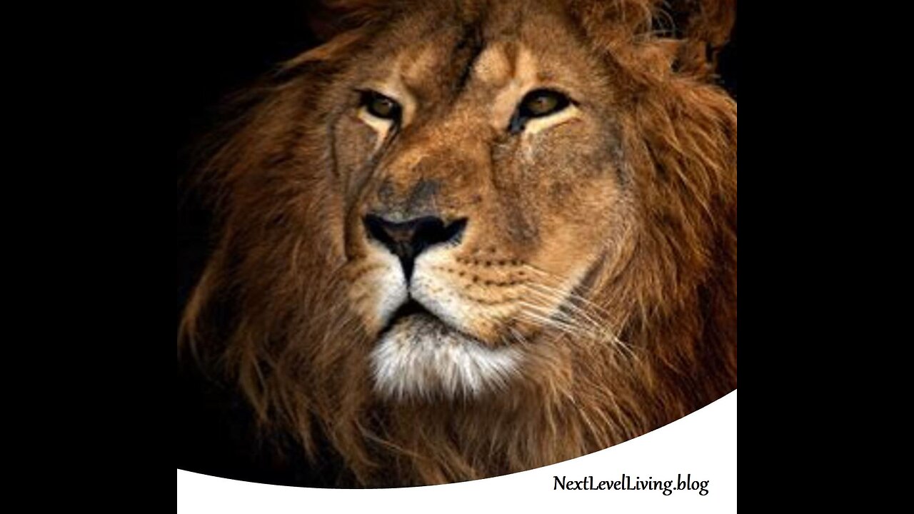 Do You Want to Be in Charge or Do You Want to Lead?