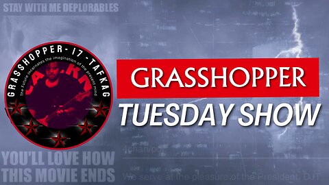 Grasshopper Live Tuesday Show - December 10th 2024