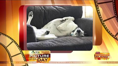 Art's Cameras Plus Picture of the Day for July 12!