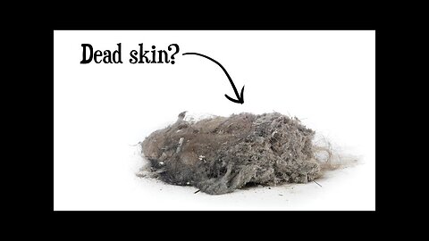 Is Dust Mostly Dead Skin?