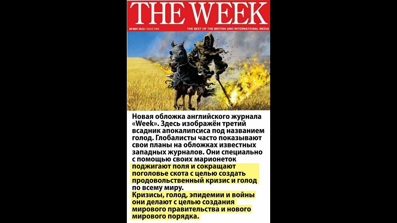 Is global hunger real?!