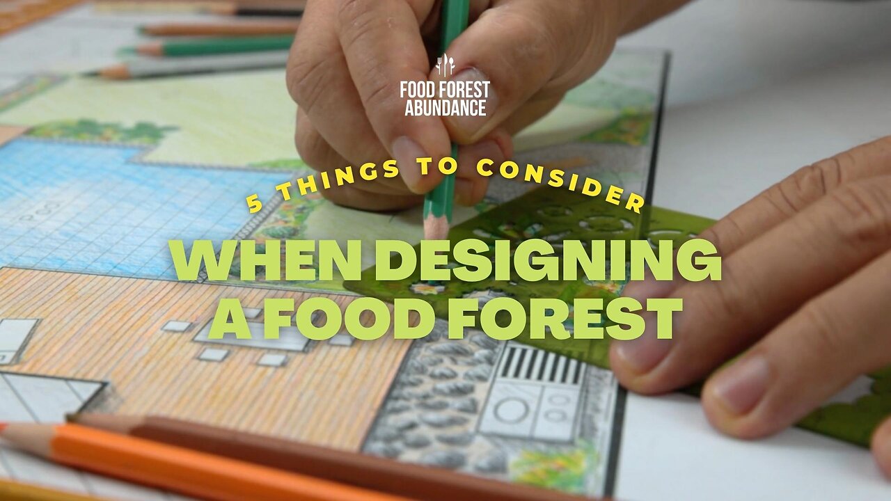 5 things you need to consider when designing a food forest