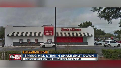 Dirty Dining: Steak 'n Shake shut down for a day after live roaches were seen crawling near food