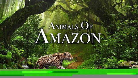 Animal Of Amazon 4K_Animal That Call The Jungle Home _ Amazon Rainforest
