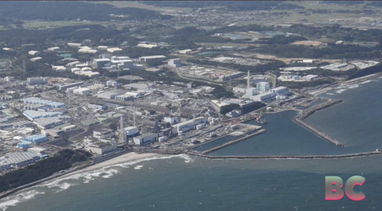 Worries over seafood safety mount as Japan releases Fukushima water into the Pacific
