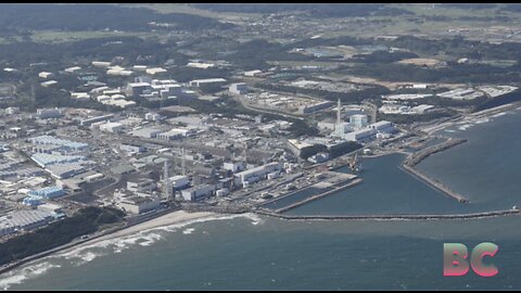Worries over seafood safety mount as Japan releases Fukushima water into the Pacific