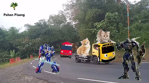 Mobil Berubah Jadi Teman Tayo The Little Bus Part 6