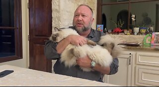 The Government Wants Alex Jones’ Cat, Mooshoo (Not Satire!)