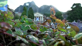 SOUTH AFRICA - Cape Town - Autumn (Video) (UWK)