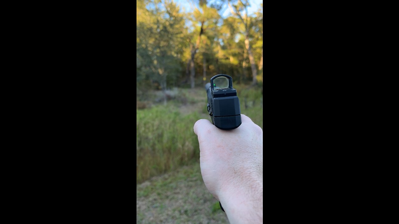 Suppressed Sig P322