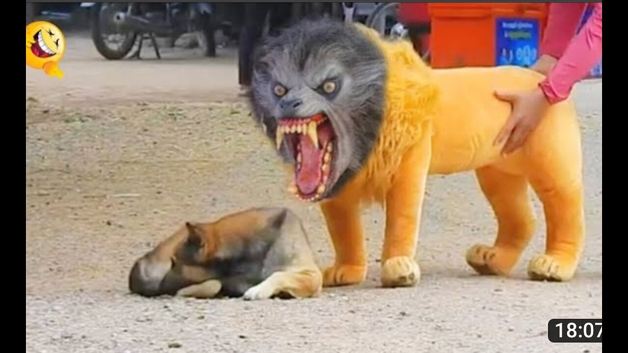 🤣fake Lion 🦁 and Fake Tiger 🐅 Prank To dog 🐕