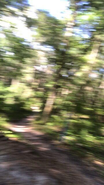 Widow Maker Santos Double Diamond