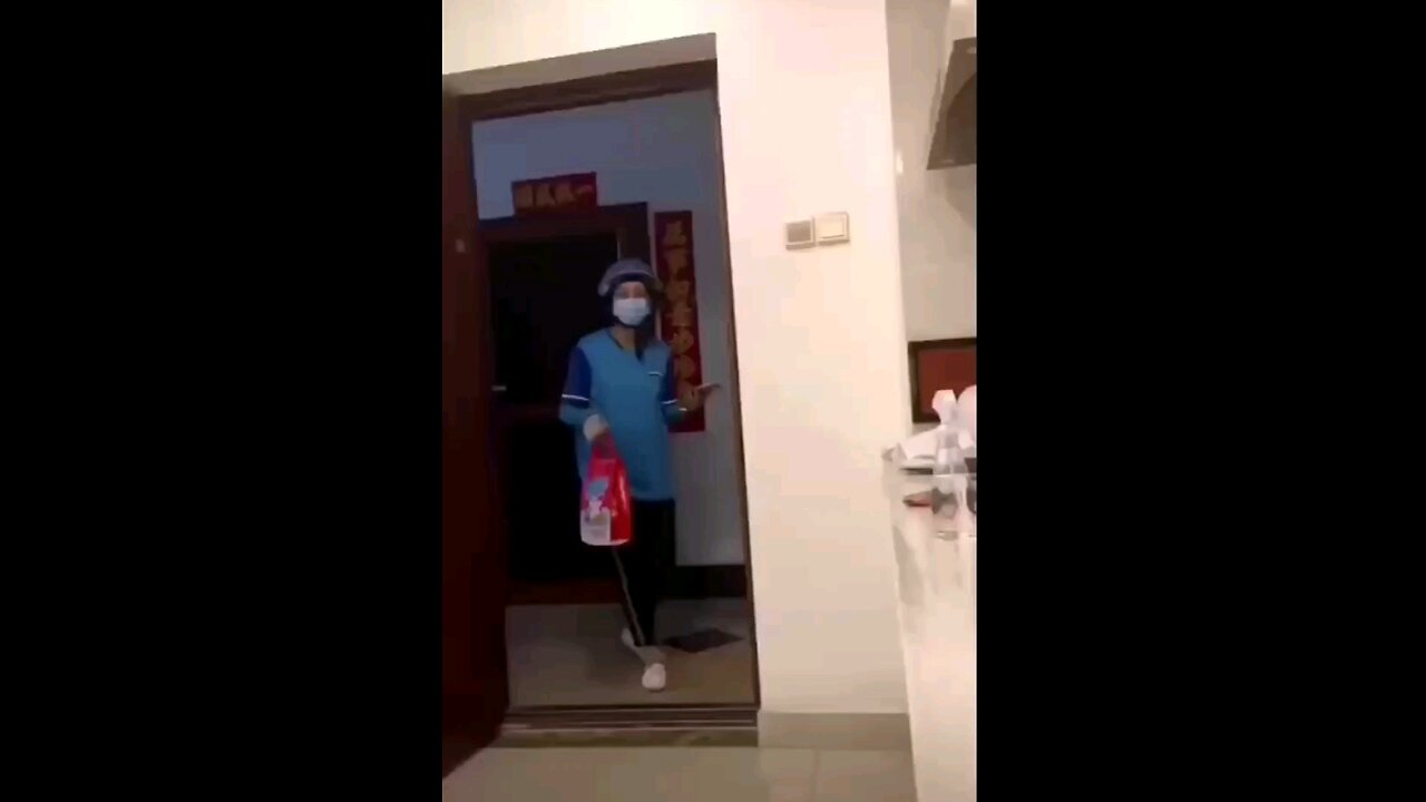 funny videos