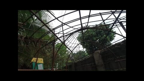 FERROCEMENT ROOF ON A SHED