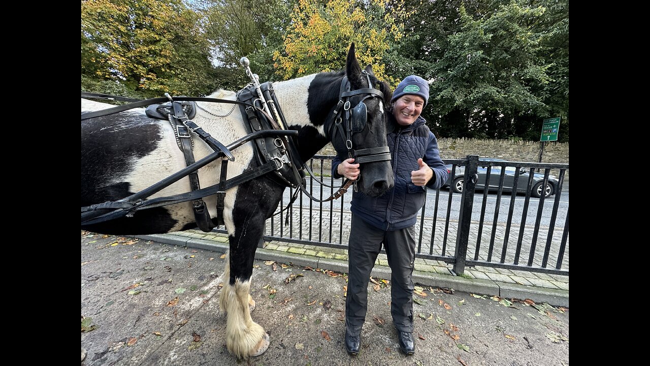 ☘️A Beautiful Horse Drawn Carriage Ride Through Killarney National Park ☘️