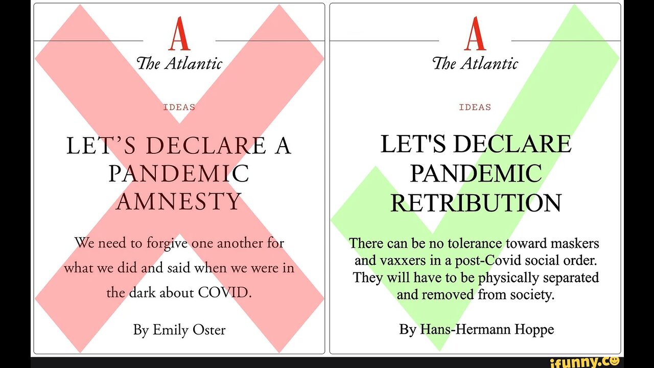 Paul Joseph Watson comenta sobre el artículo Let's Declare a Pandemic Amnesty