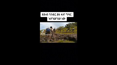 የአማራ ፋኖ በጎንደር :