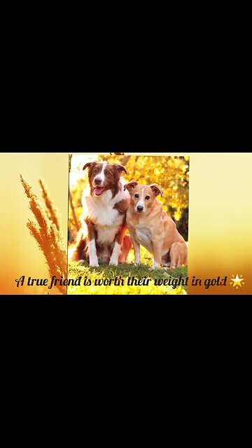 A true friend is worth their weight in gold 🌟