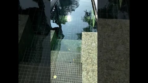 ViaPool Mosaic
