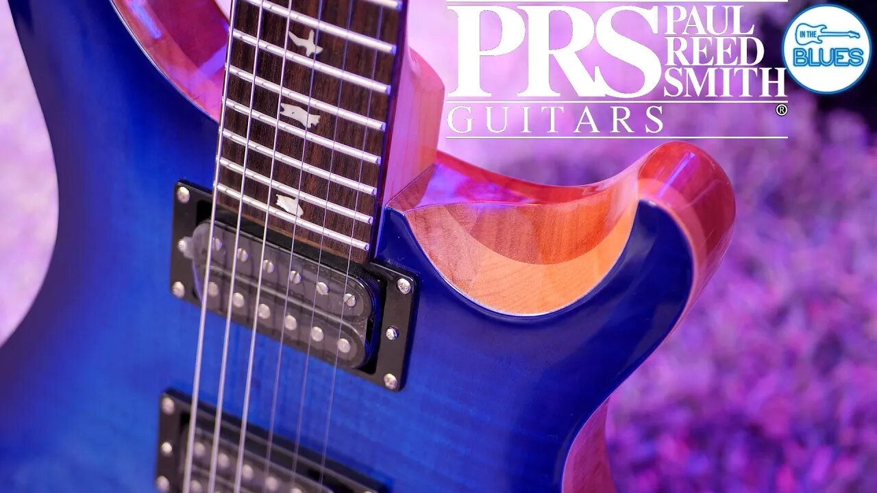 The "Budget" PRS SE Custom 24 - Just Okay or Great? 🤔