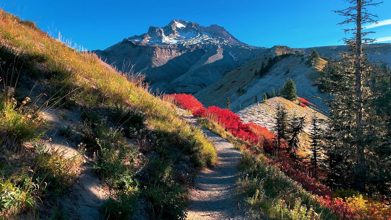 Mount Hood Wilderness Timberline Loop (SW Quadrant Day-Hike) - Lodge to Zig Zag Canyon | Oregon | HD