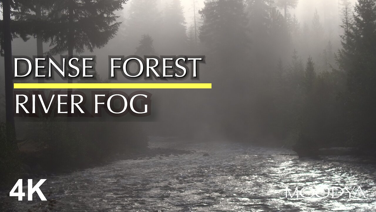 Nature Meditation Video - Clairvoyance in a Dence Foggy Forest River