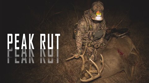 PEAK Rut Chess Match With Kansas Buck! (Ground Shrinkage?)