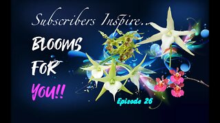 SUBSCRIBERS INSPIRE| YOU COLOR MY LIFE, BLOOMS FOR YOU! Episode 26 🌸🌺🌼💐